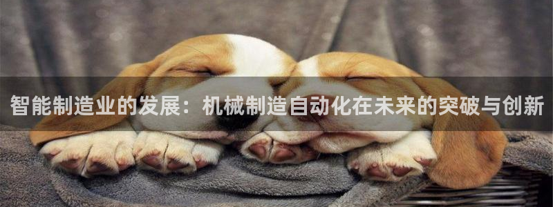 万事娱乐主管薪资待遇