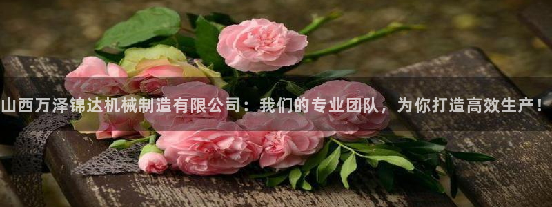 万事达娱乐荣誉21