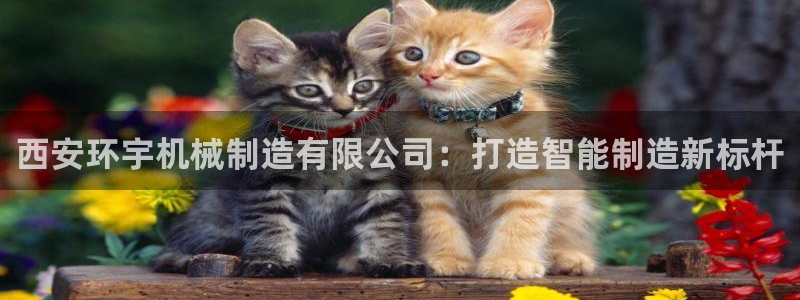 万事娱乐平台怎么样了啊