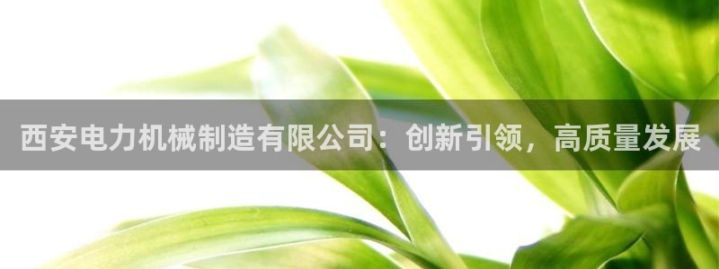 万事娱乐筘49403