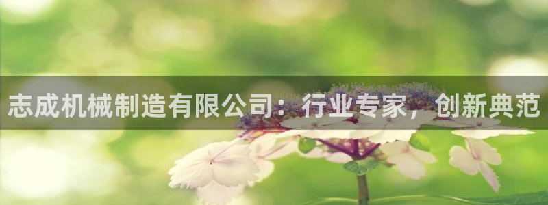 万事达娱乐设施