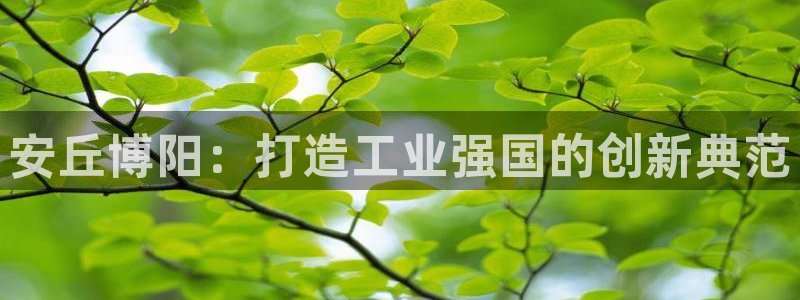 娱乐万事开心