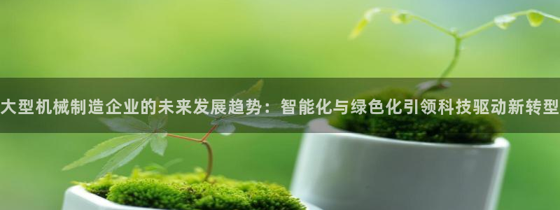 万事达娱乐问55312
