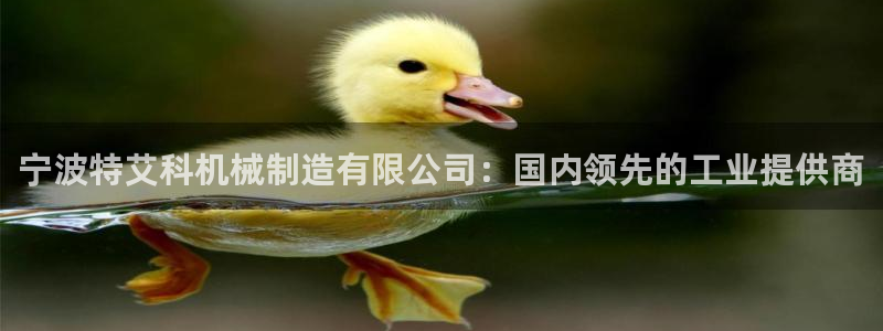 万事达娱乐董善良